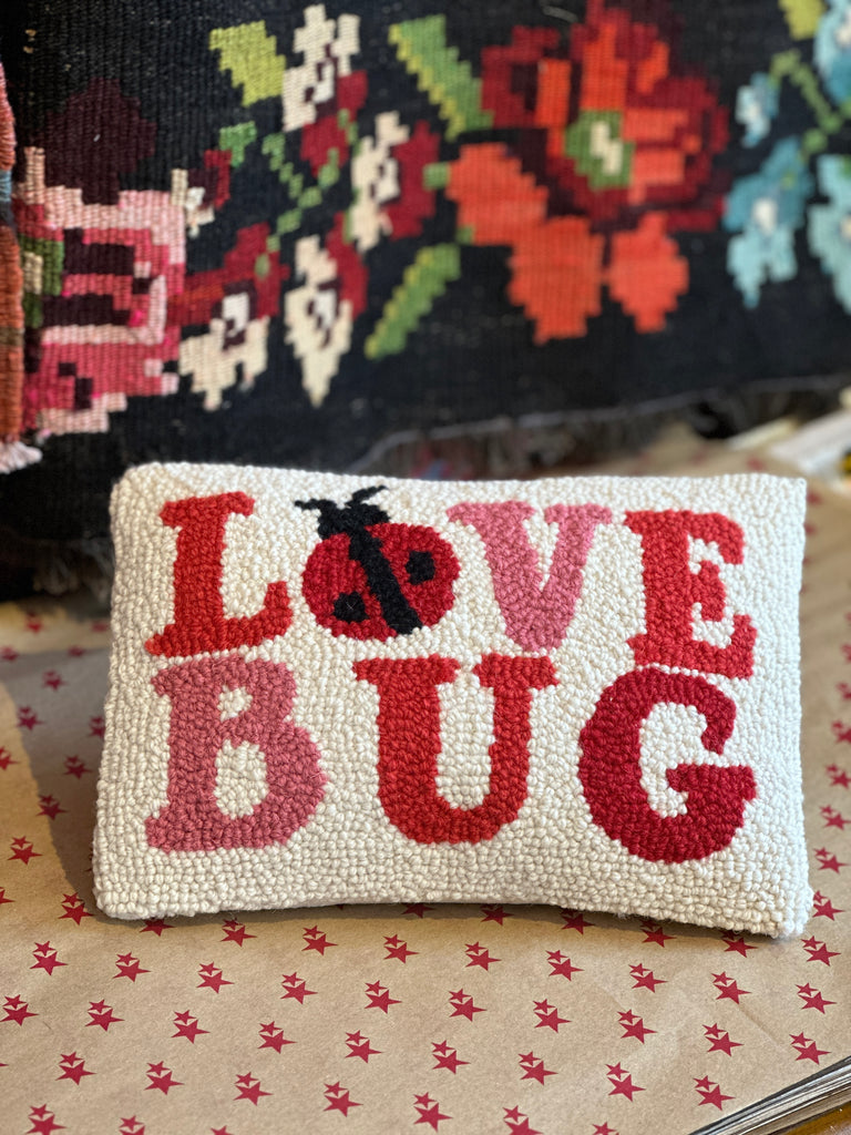 🐞Love Bug Mini Cushion